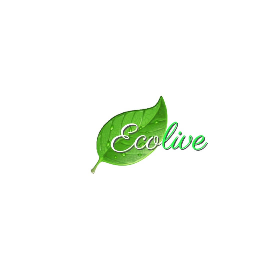 Ecolive Facilities & Services Limited