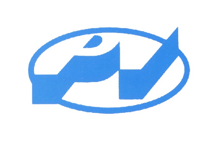 PI Electronics (Hong Kong) Limited