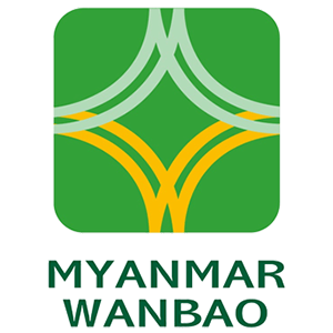 Myanmar Wanbao Mining Copper Limited