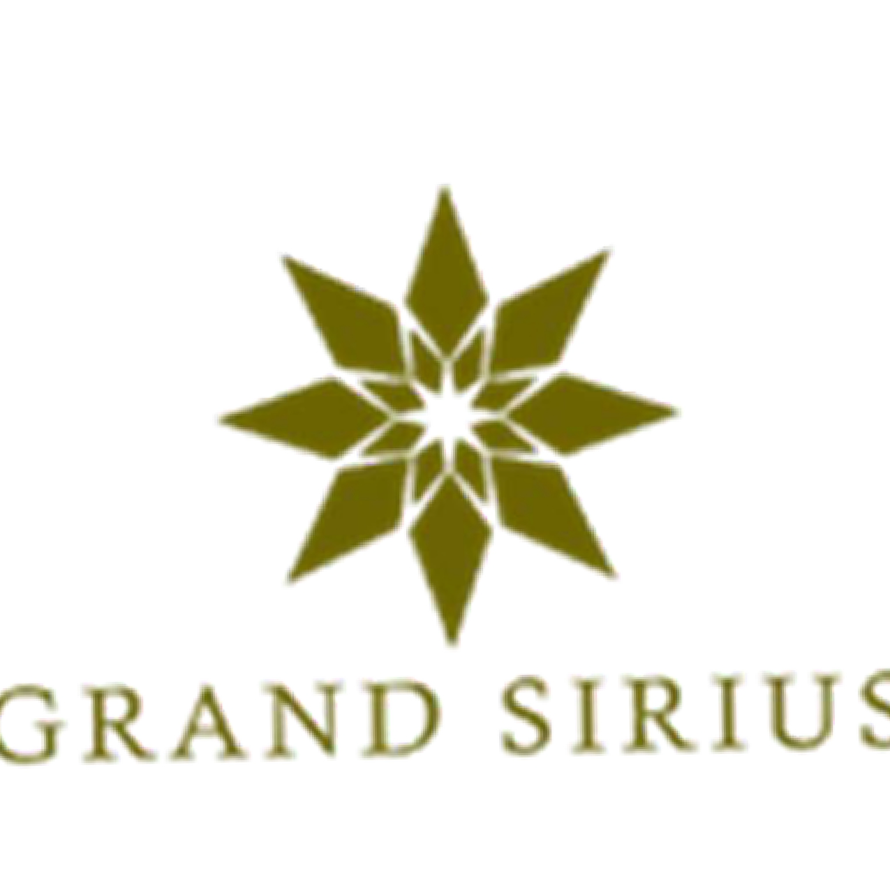 GRAND SIRIUS COMPANY LIMITED