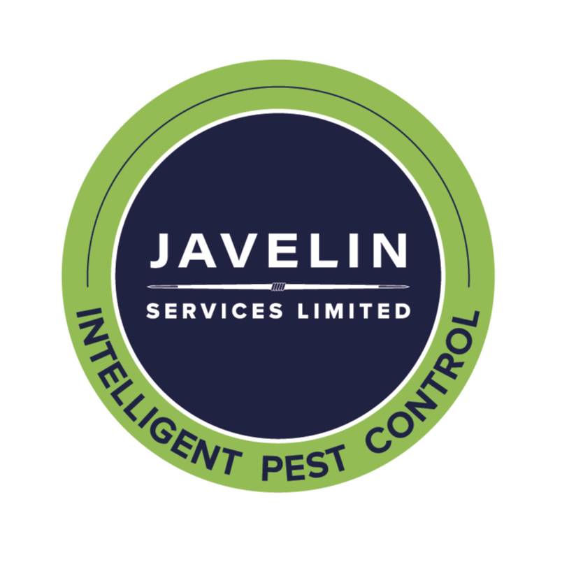 Javelin Services Ltd.