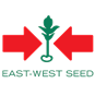 East West Seed Myanmar